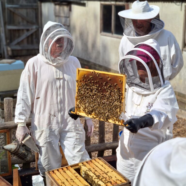 Beekeeping courses East Sussex: beginners learning at a Mantel Farm workshop