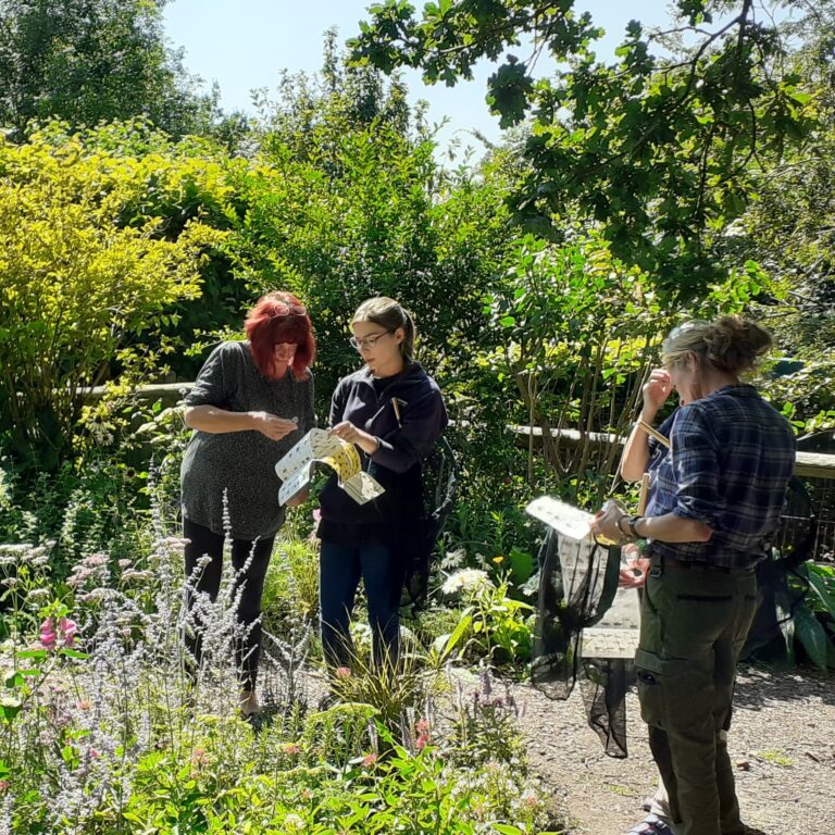 Beekeeping course in East Sussex: a bee experience afternoon at Mantel Farm