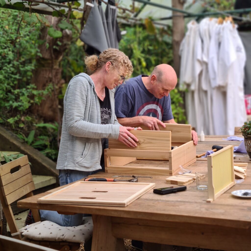 Begin your Beekeeping and build a beehive: A 2-day course
