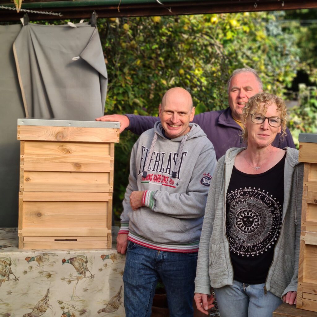 Build a beehive day
