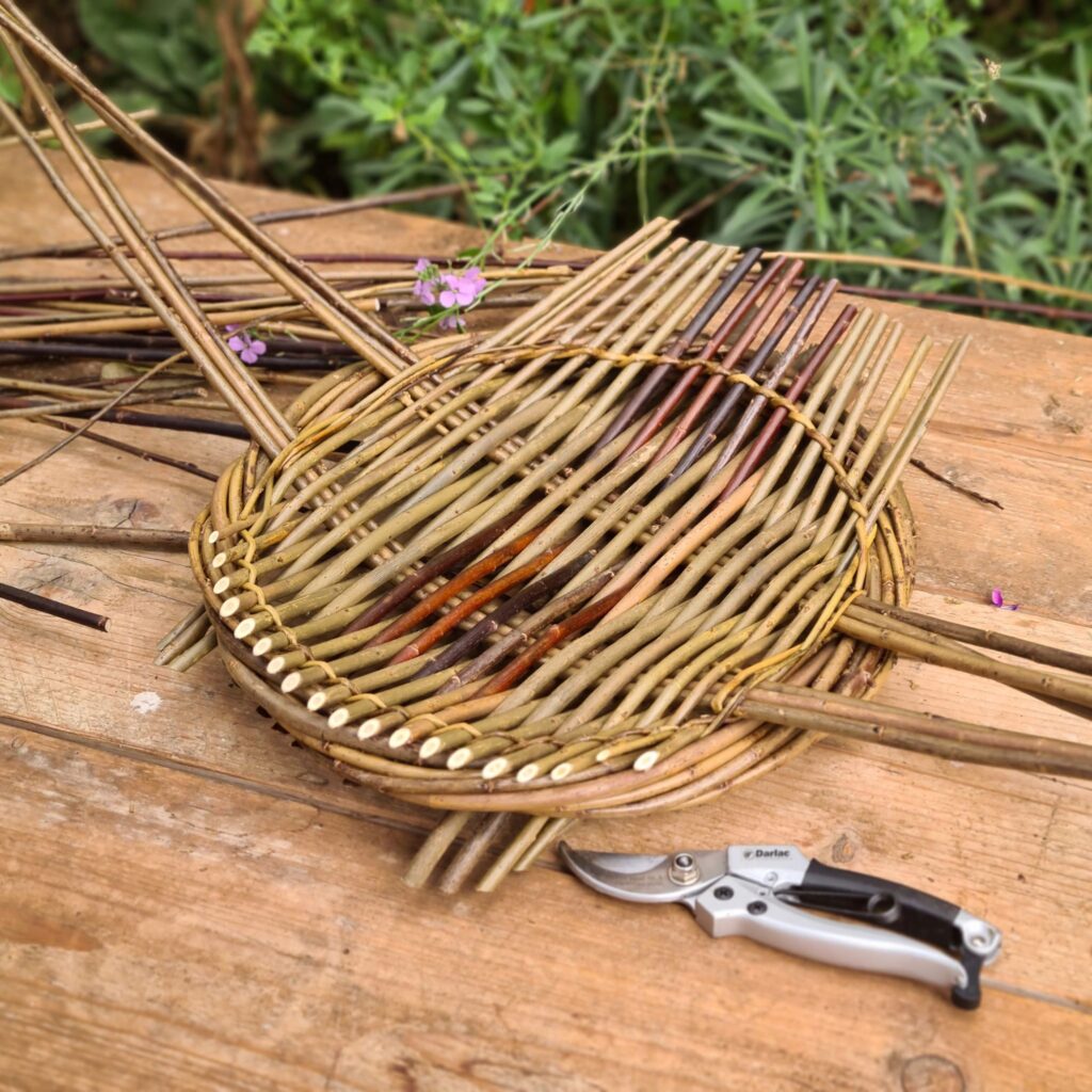 Introduction to Willow Weaving Day