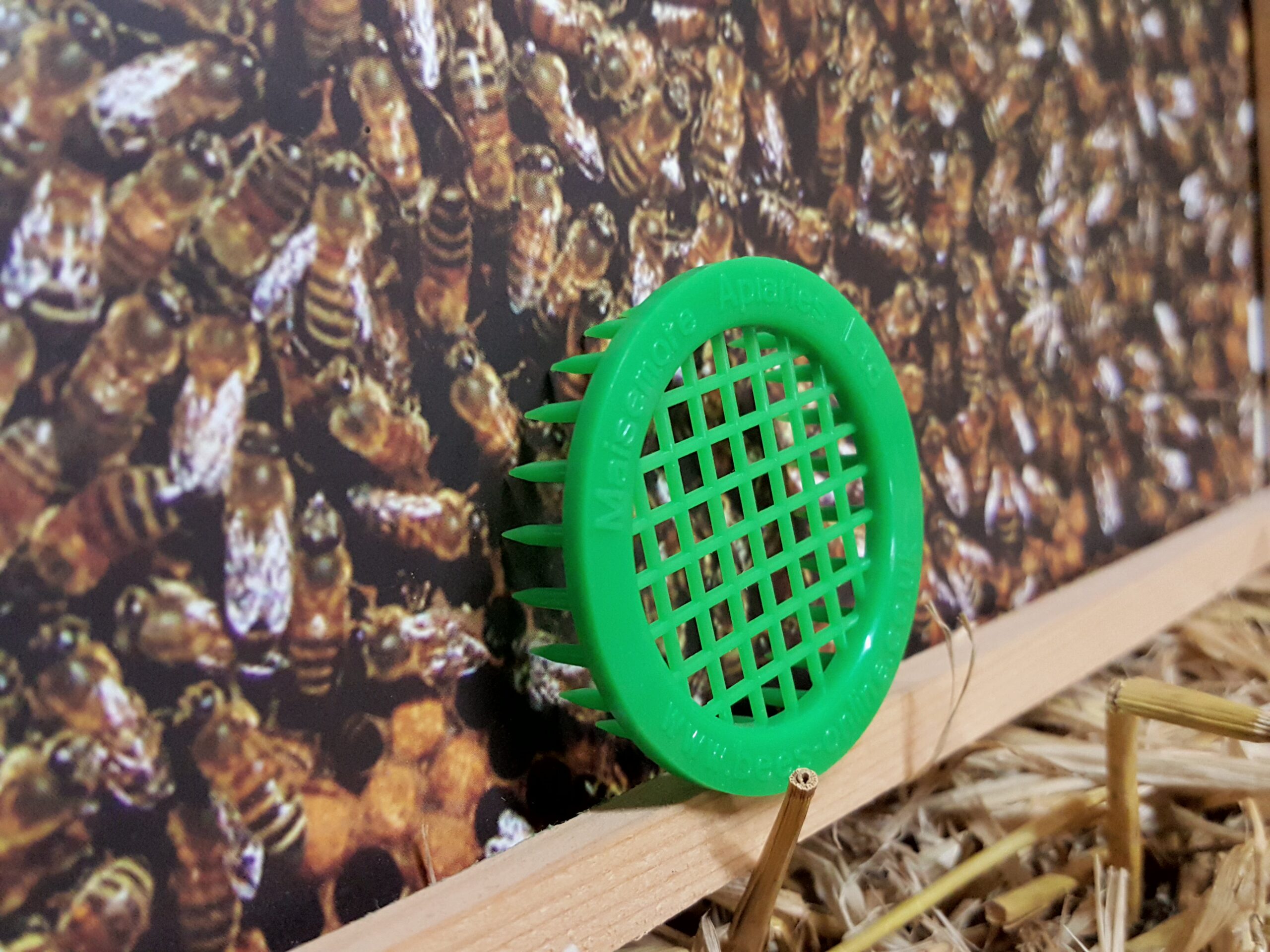 Queen Marker press-in cage - Image 2