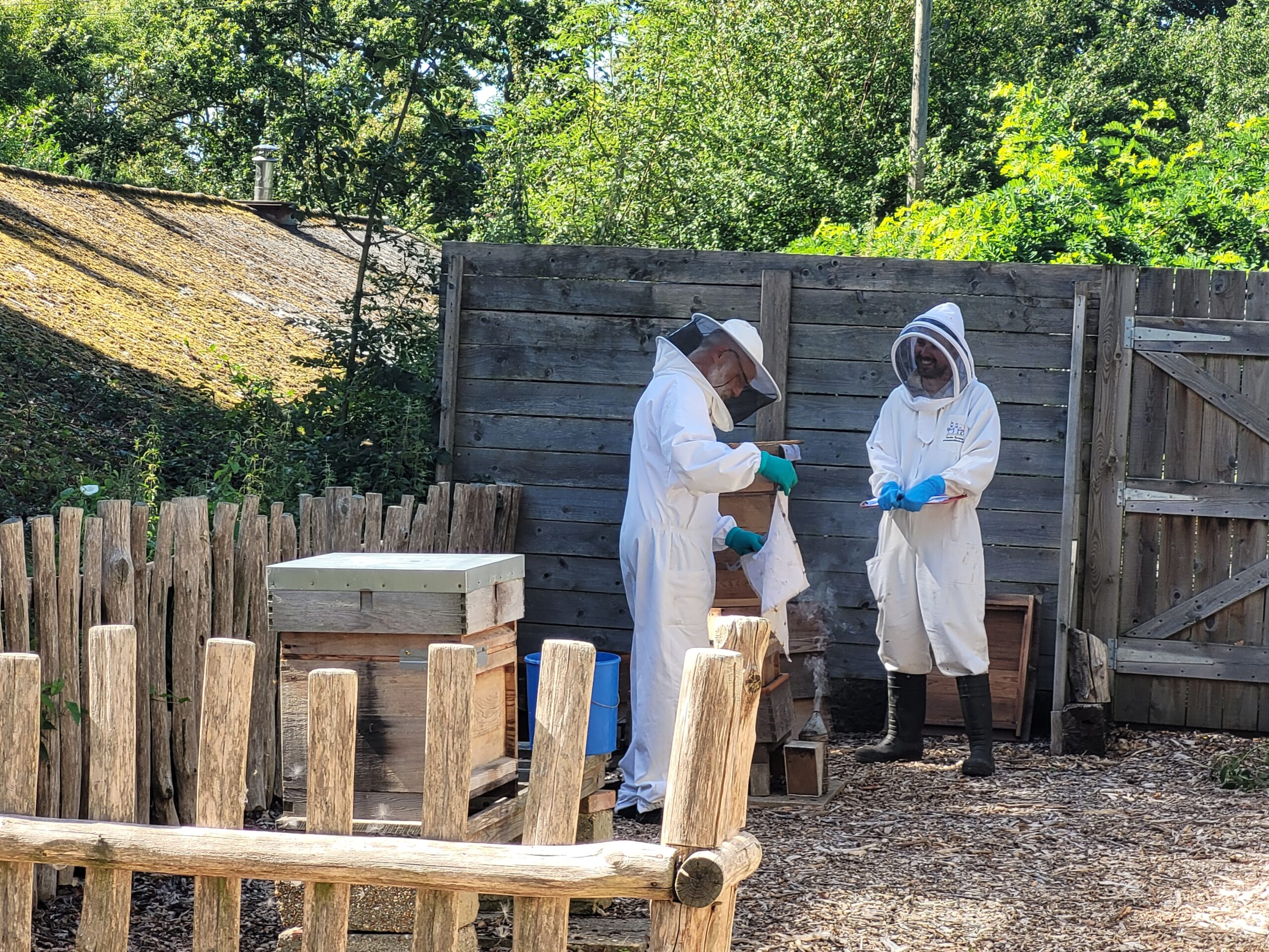 beekeeping KW0823