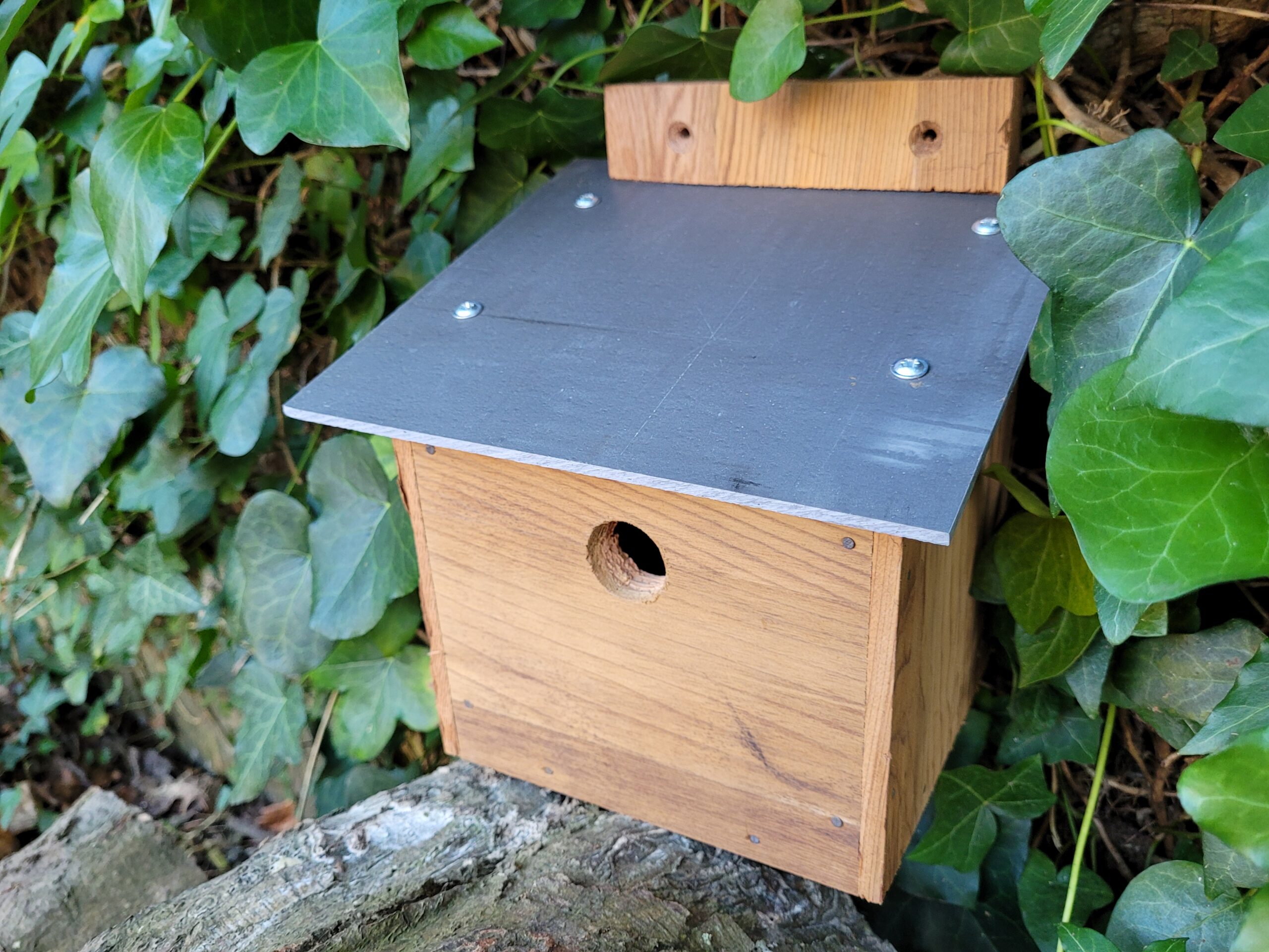 Bird box bluetit KW0226