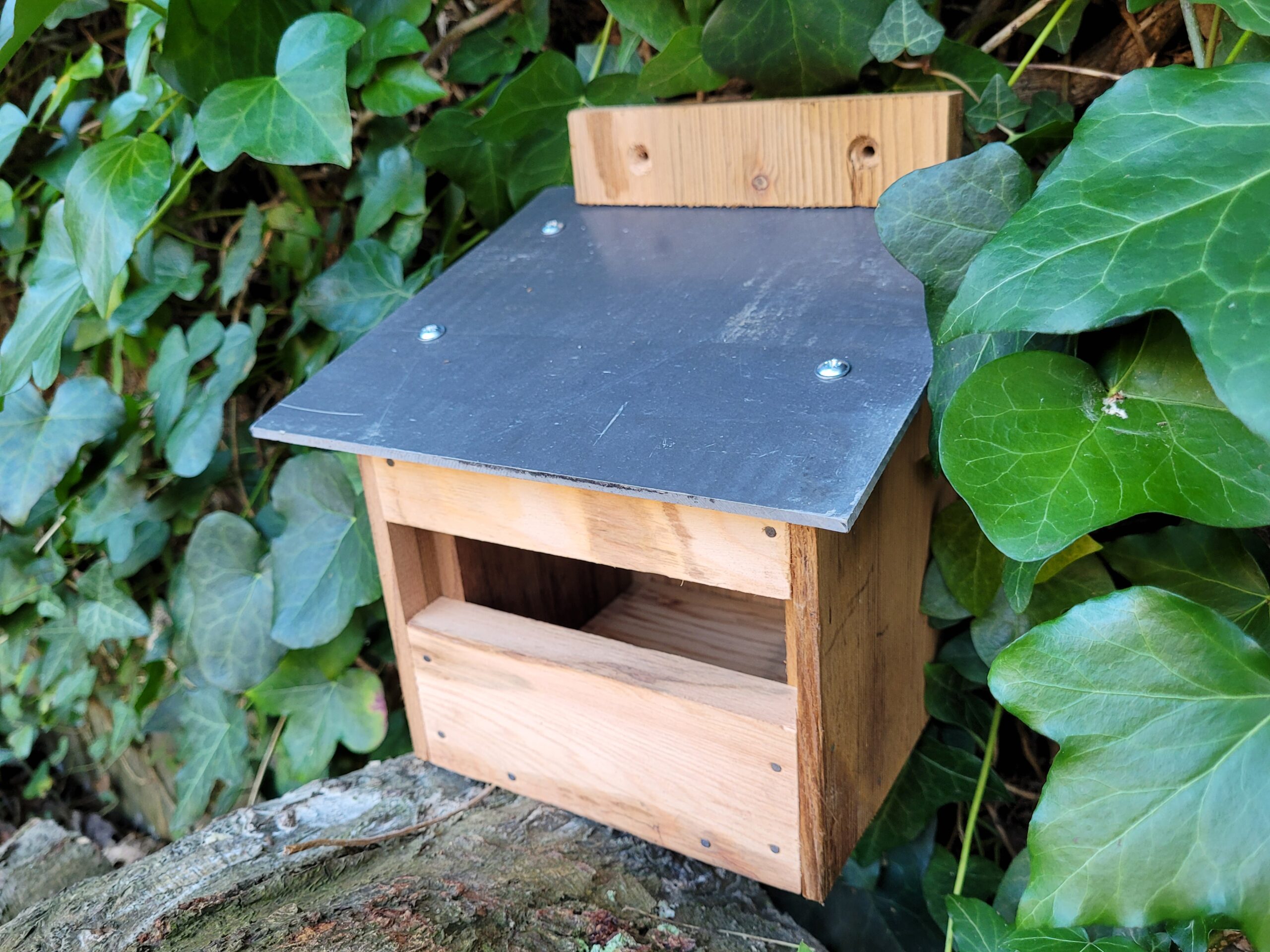 Bird box robin KW0226