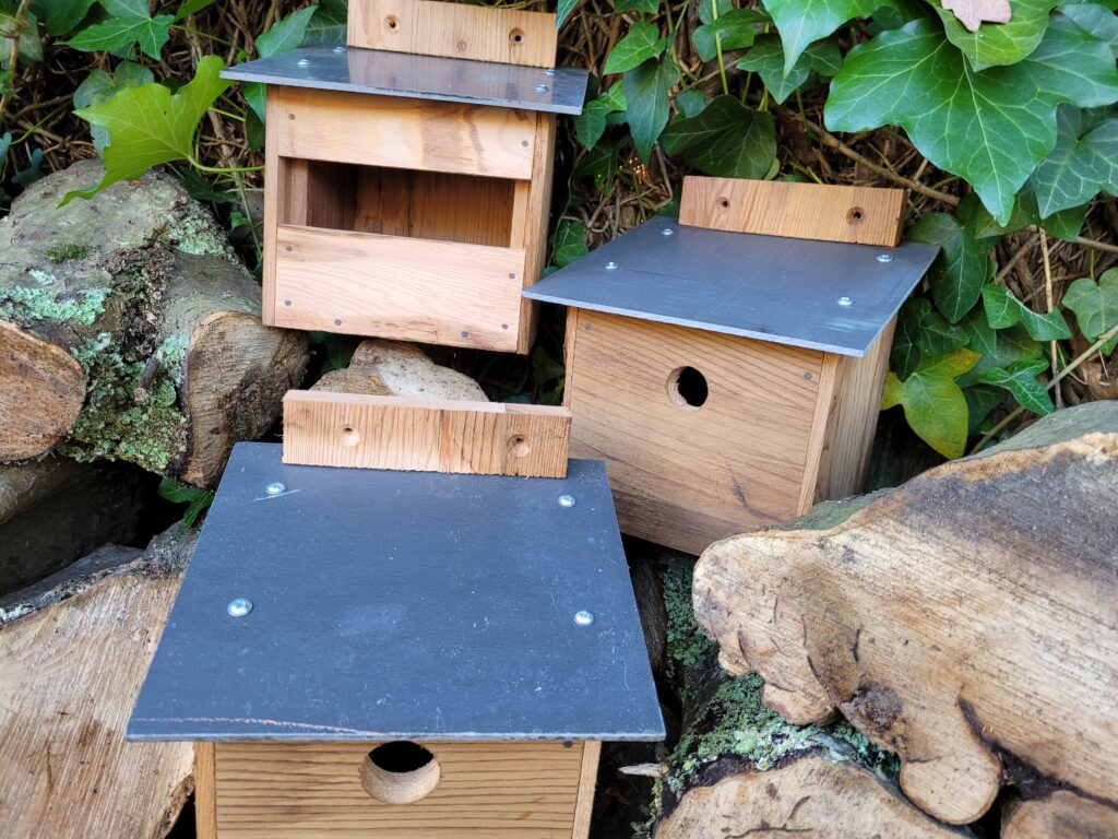 Wild Bird Boxes